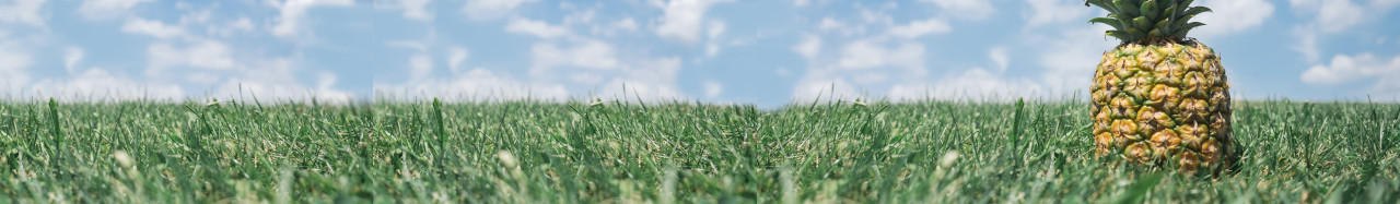 stylized INSPIRE logo on grass with sky in background